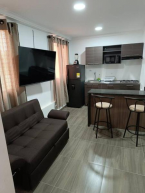Espectacular aparta estudio